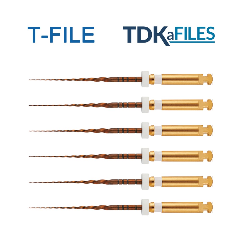 Lima-Rotatoria-T-File-17 Lima Rotatória T File 17 / 25mm TDK (C/6 Unidades) - Imagem 1